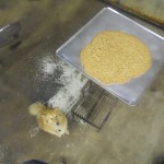 giant chocolate chip cookie made in oven for forming plastic for kayaks with dog named cj